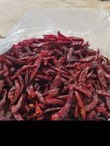 팜모닝 고추·영농일지 게시글 이미지