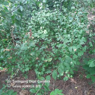 문구화님의 자유주제 · 자유게시판 작성글 사진