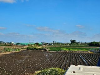 예준예성빠님의 양배추 · 영농일지 작성글 사진