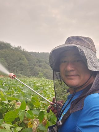이건님의 콩 · 영농일지 작성글 사진