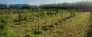 복주농장님의 자유주제 · 자유게시판 작성글 사진