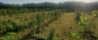 복주농장님의 자유주제 · 자유게시판 작성글 사진