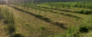 복주농장님의 자유주제 · 자유게시판 작성글 사진