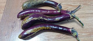 한명식님의 자유주제 · 자유게시판 작성글 사진