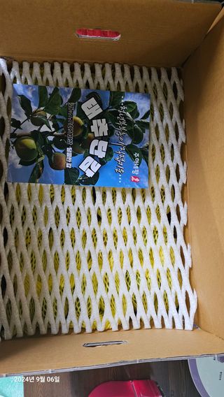 주하네팜(태추,부유님의 9월 농사계획 공유하기 · 참여글 작성글 사진