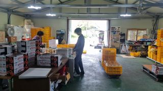 배정호 하늘농장 님의 복숭아 · 영농일지 작성글 사진