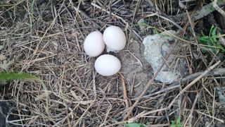 이천용님의 자유주제 · 자유게시판 작성글 사진