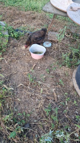 이천용님의 자유주제 · 자유게시판 작성글 사진