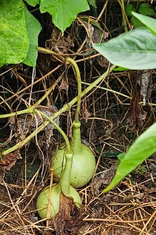 영경래8385님의 자유주제 · 자유게시판 작성글 사진