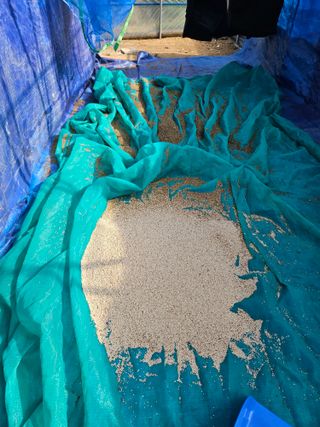 마중물0715님의 9월 농사계획 공유하기 · 참여글 작성글 사진