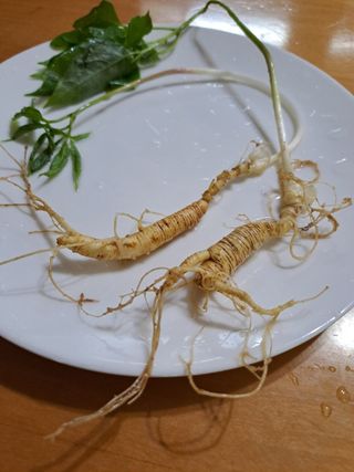 홍성호님의 자유주제 · 자유게시판 작성글 사진
