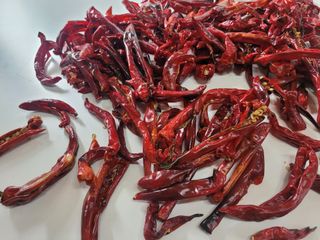 동읍새날농장님의 고추 · 영농일지 작성글 사진