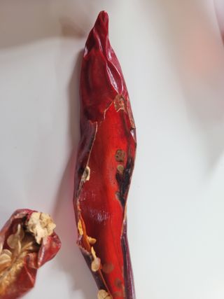 동읍새날농장님의 고추 · 영농일지 작성글 사진