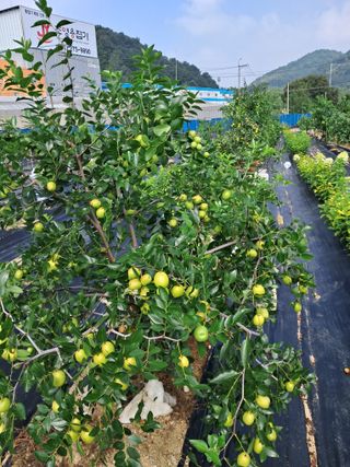 전희분님의 자유주제 · 자유게시판 작성글 사진