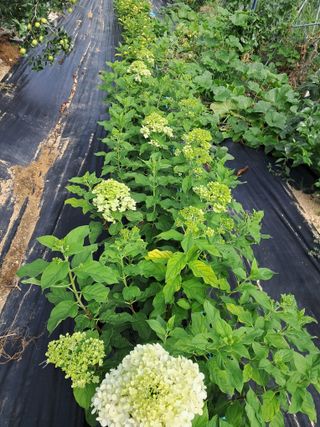 전희분님의 자유주제 · 자유게시판 작성글 사진