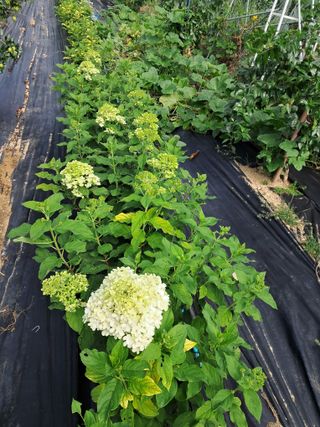 전희분님의 자유주제 · 자유게시판 작성글 사진