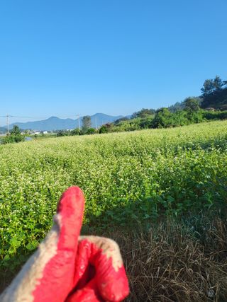 김영진(전남영광)님의 자유주제 · 자유게시판 작성글 사진