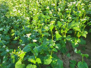 김영진(전남영광)님의 자유주제 · 자유게시판 작성글 사진