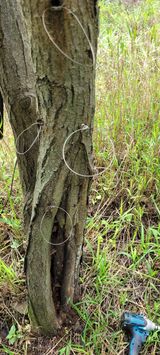 팜모닝 양파·자유게시판 게시글 이미지