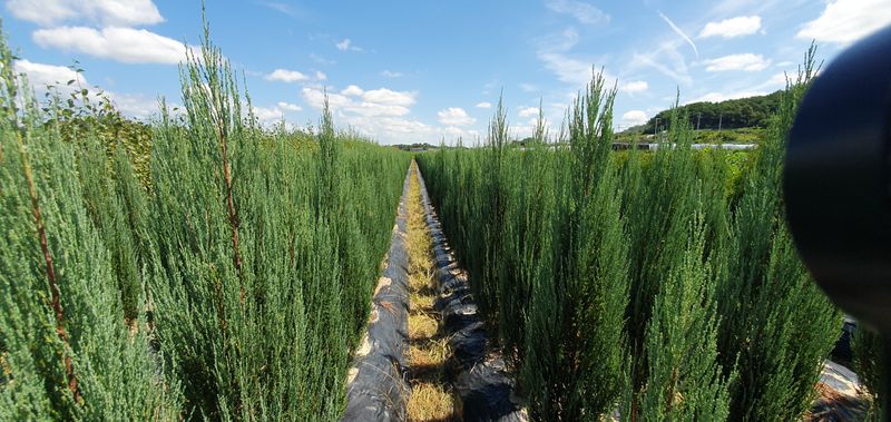 권영섭님의 장터 판매 상품 [블루애로우 1.8m] 첨부 사진