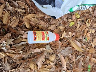 보물섬남자님의 귤 · 영농일지 작성글 사진