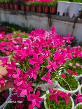 팜모닝 자유주제·사진전 게시글 이미지