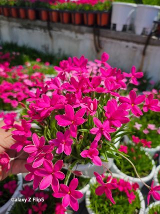 황석중님의 자유주제 · 사진전 작성글 사진