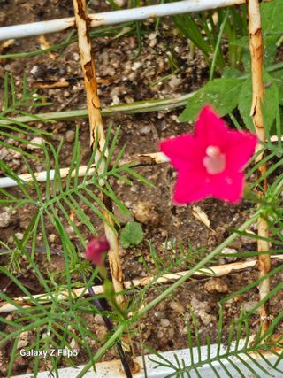 황석중님의 자유주제 · 사진전 작성글 사진