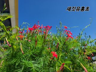 황석중님의 자유주제 · 사진전 작성글 사진