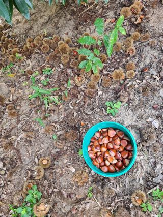 그린1505님의 기타작물 · 영농일지 작성글 사진