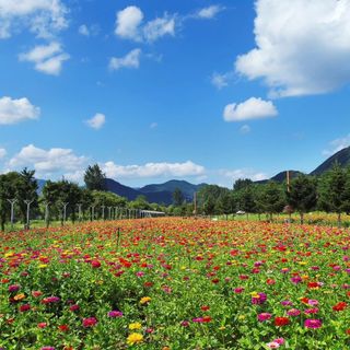 제일시스템님의 자유주제 · 자유게시판 작성글 사진
