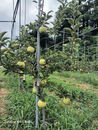 알 수 없음님의 자유주제 · 자유게시판 작성글 사진
