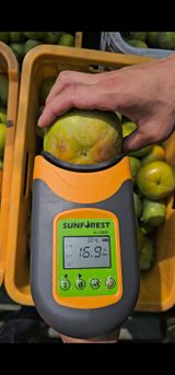 팜모닝 감·영농일지 게시글 이미지