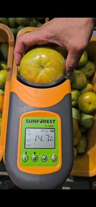 주하네팜(태추,부유님의 감 · 영농일지 작성글 사진