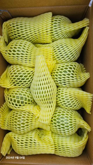 주하네팜(태추,부유님의 감 · 영농일지 작성글 사진