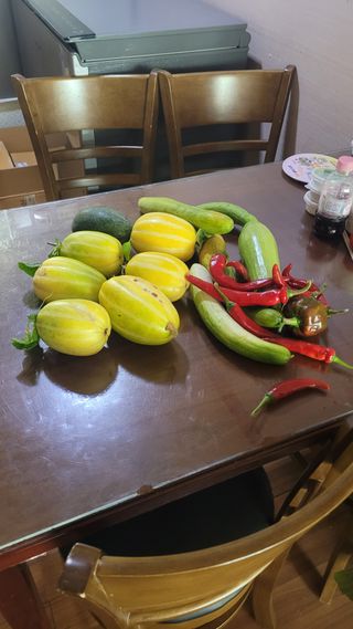 차병희님의 호박 · 영농일지 작성글 사진