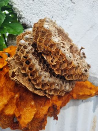 김선두님의 자유주제 · 자유게시판 작성글 사진