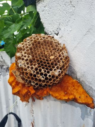 김선두님의 자유주제 · 자유게시판 작성글 사진