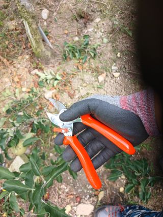 알 수 없음님의 9월 농사계획 공유하기·참여글 작성글 사진