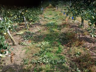 알 수 없음님의 9월 농사계획 공유하기 · 참여글 작성글 사진