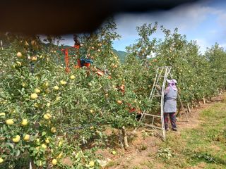 알 수 없음님의 9월 농사계획 공유하기 · 참여글 작성글 사진