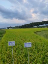 팜모닝 자유주제·자유게시판 게시글 이미지