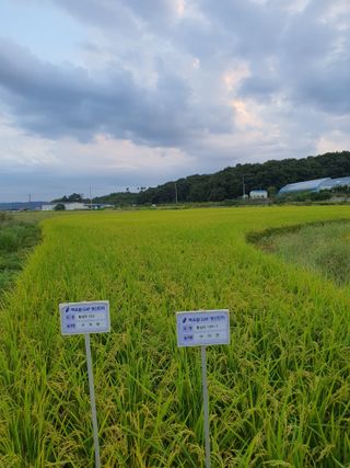구자면님의 자유주제 · 자유게시판 작성글 사진