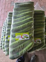 팜모닝 자유주제·자유게시판 게시글 이미지