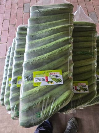 최종진님의 자유주제 · 자유게시판 작성글 사진