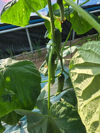 최종진님의 자유주제 · 자유게시판 작성글 사진