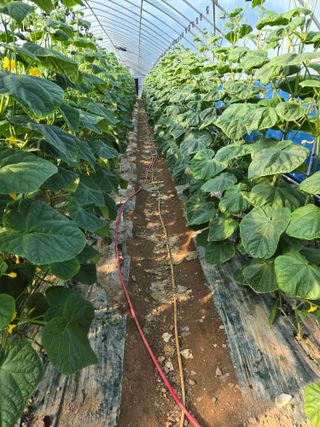 최종진님의 자유주제 · 자유게시판 작성글 사진