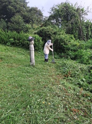 전희분님의 자유주제 · 자유게시판 작성글 사진