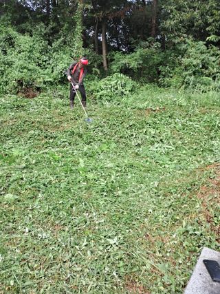 전희분님의 자유주제 · 자유게시판 작성글 사진