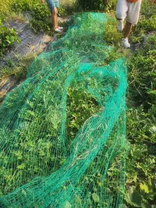 도깨비윤샘 님의 9월 농사계획 공유하기·참여글 작성글 사진